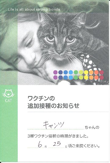 ワクチン接種のお知らせ