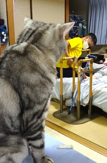 後任者の初めての作業を見つめるキャンツ