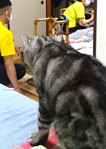 引継ぎ作業をキャンツがチェック