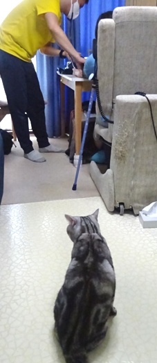 リハビリを見続けるキャンツ