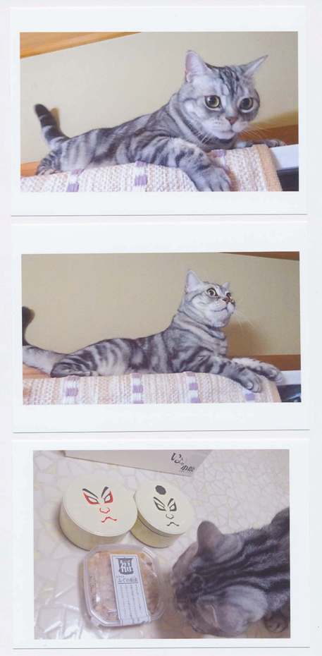 妻に報告した自宅の様子