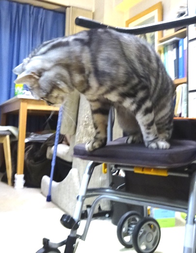 新しい歩行器に乗って納品検査