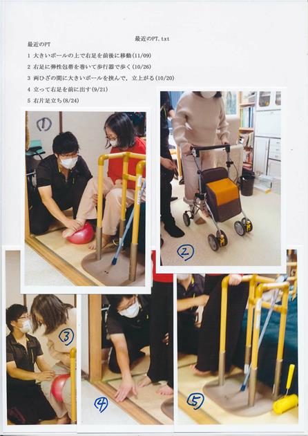 最近の理学療法リハビリの概要を示す文書