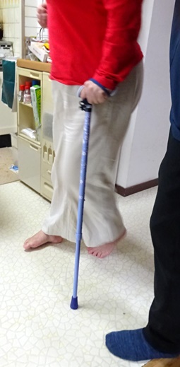 主治医による歩行チェック2