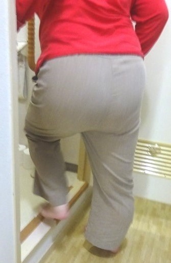 トイレに入る時は杖を使う